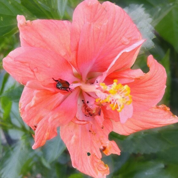 Your Imperfections Radiate‎ Beauty Watercolor Oil Painting Art 20x30 Poster - Picture 4 of 6